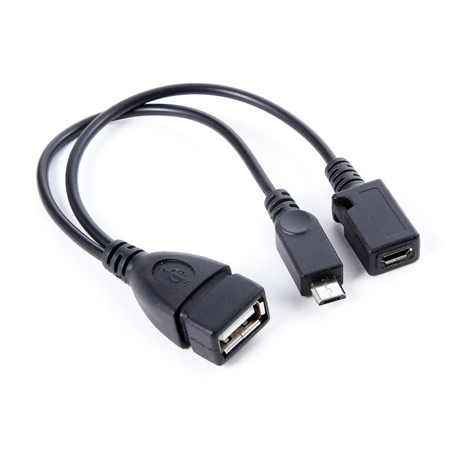 Micro To Mini Usb Otg Cable Y 900x900